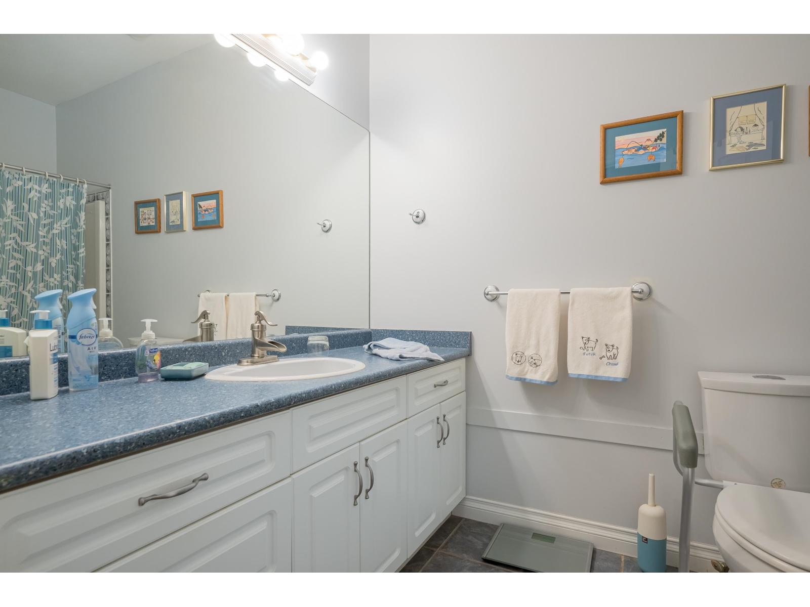 32993 Hawthorne Avenue, Mission, British Columbia  V2V 7C3 - Photo 24 - R3070780