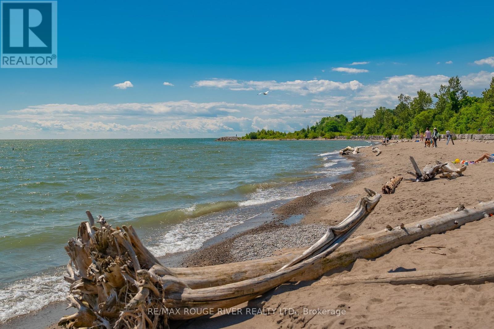 53 Greybeaver Trail, Toronto, Ontario M1C 2X4 - Photo 43 - E12583964