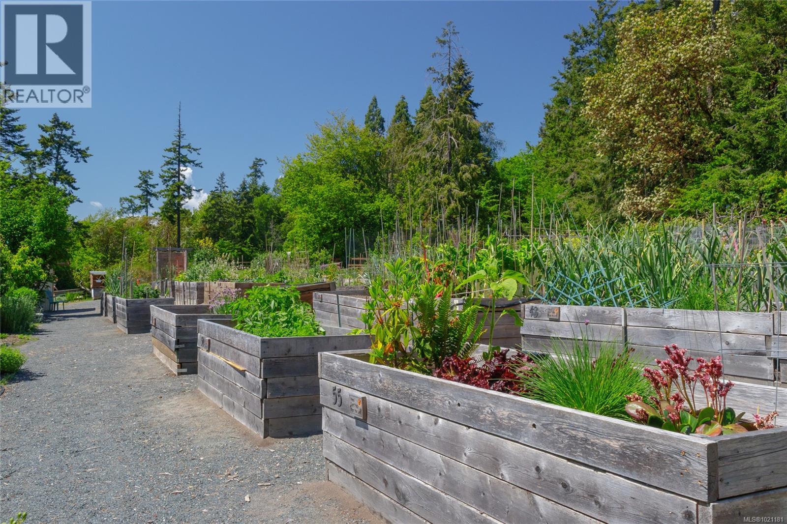 506 69 Gorge Rd W, Saanich, British Columbia  V9A 1L9 - Photo 23 - 1021181