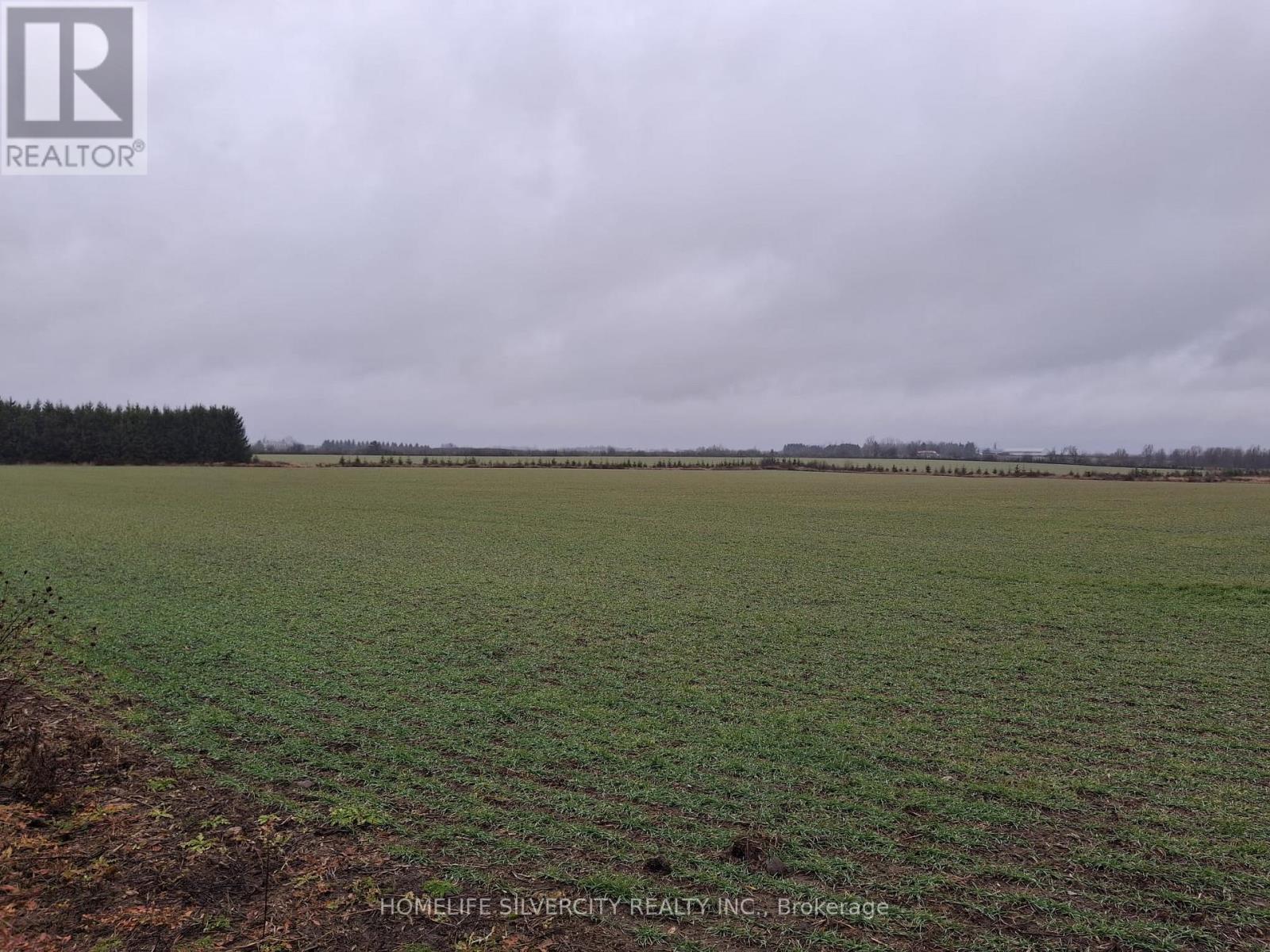 285171 County Rd 10 Road W, Amaranth, Ontario  L9W 0Y8 - Photo 10 - X12583992