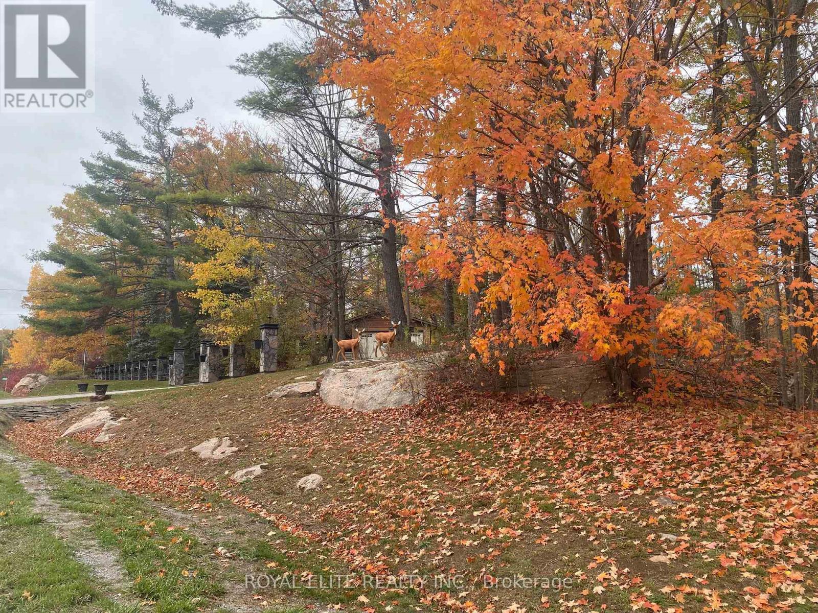 2943 COUNTY RD 36, Trent Lakes, Ontario