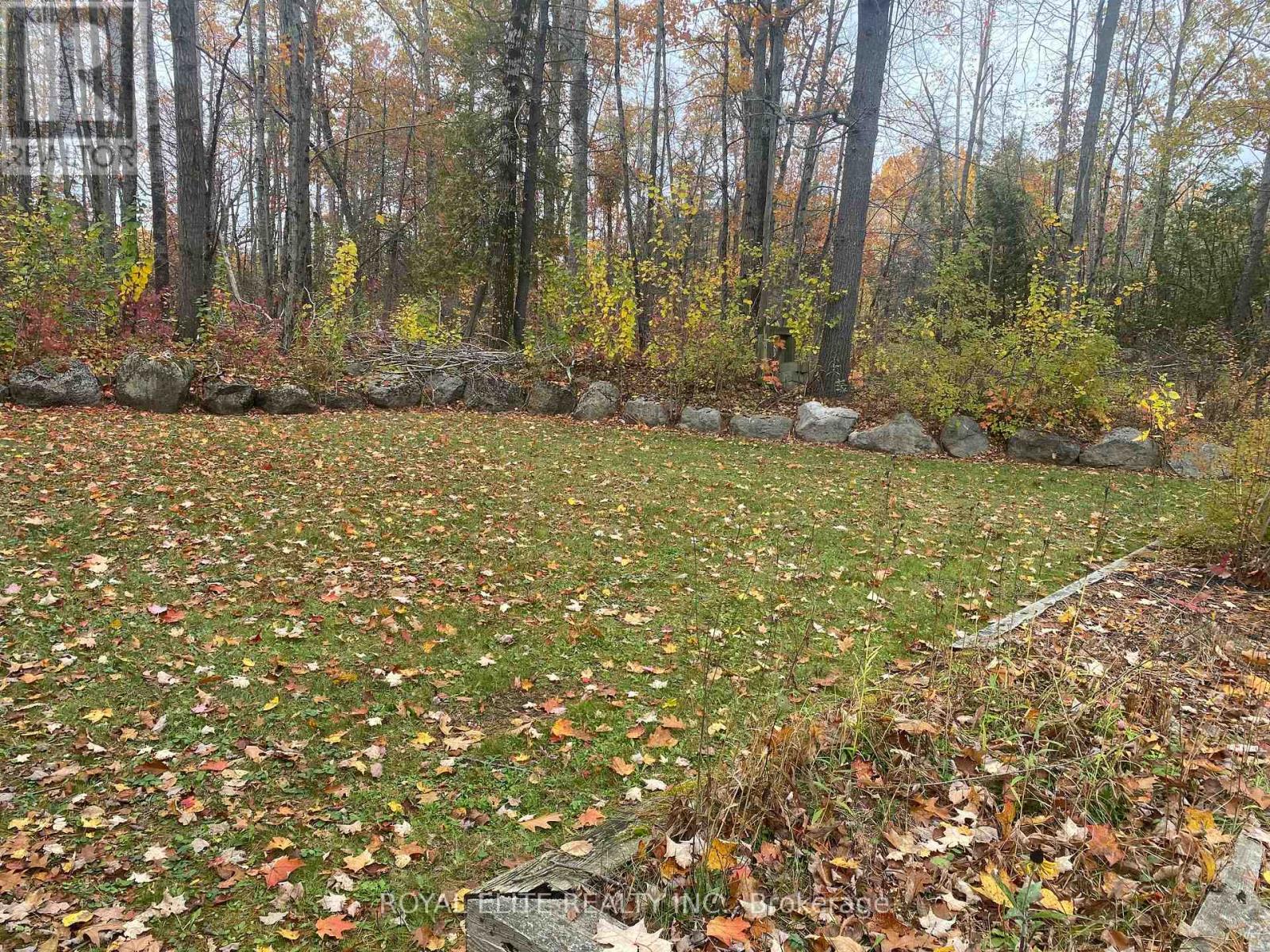 2943 County Rd 36, Trent Lakes, Ontario  K0L 1J0 - Photo 33 - X12583994