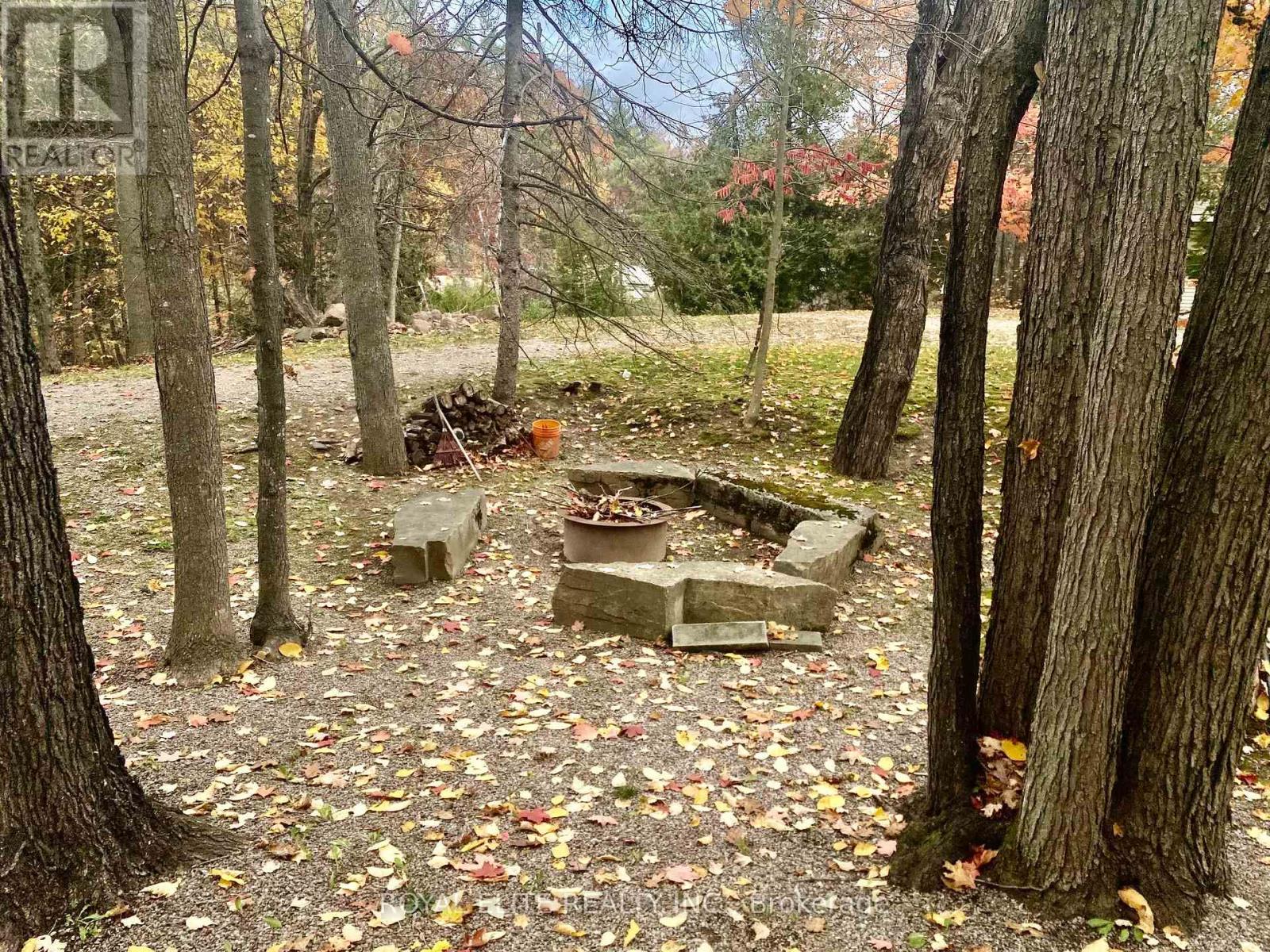 2943 County Rd 36, Trent Lakes, Ontario  K0L 1J0 - Photo 35 - X12583994