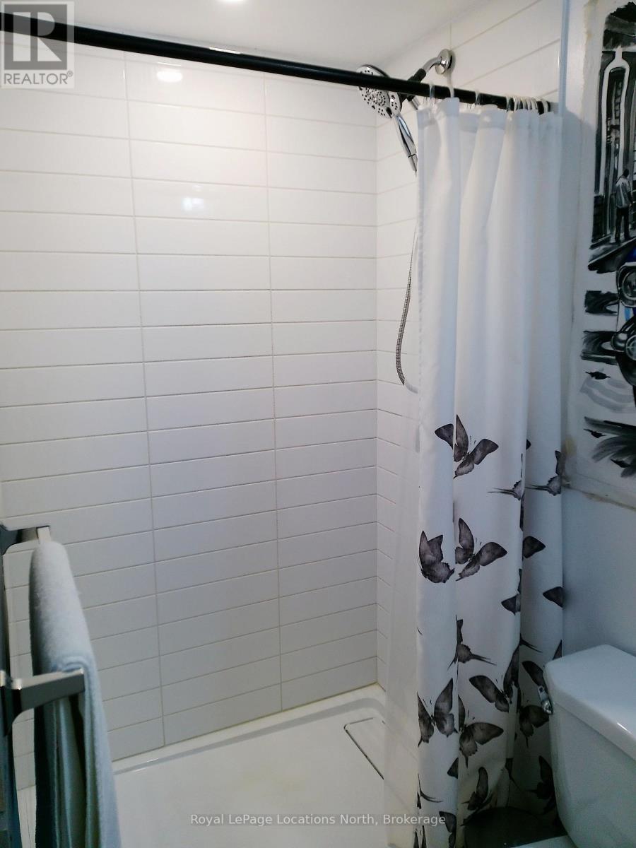 6 Barfoot Street, Collingwood, Ontario  L9Y 3Y7 - Photo 29 - S12584222