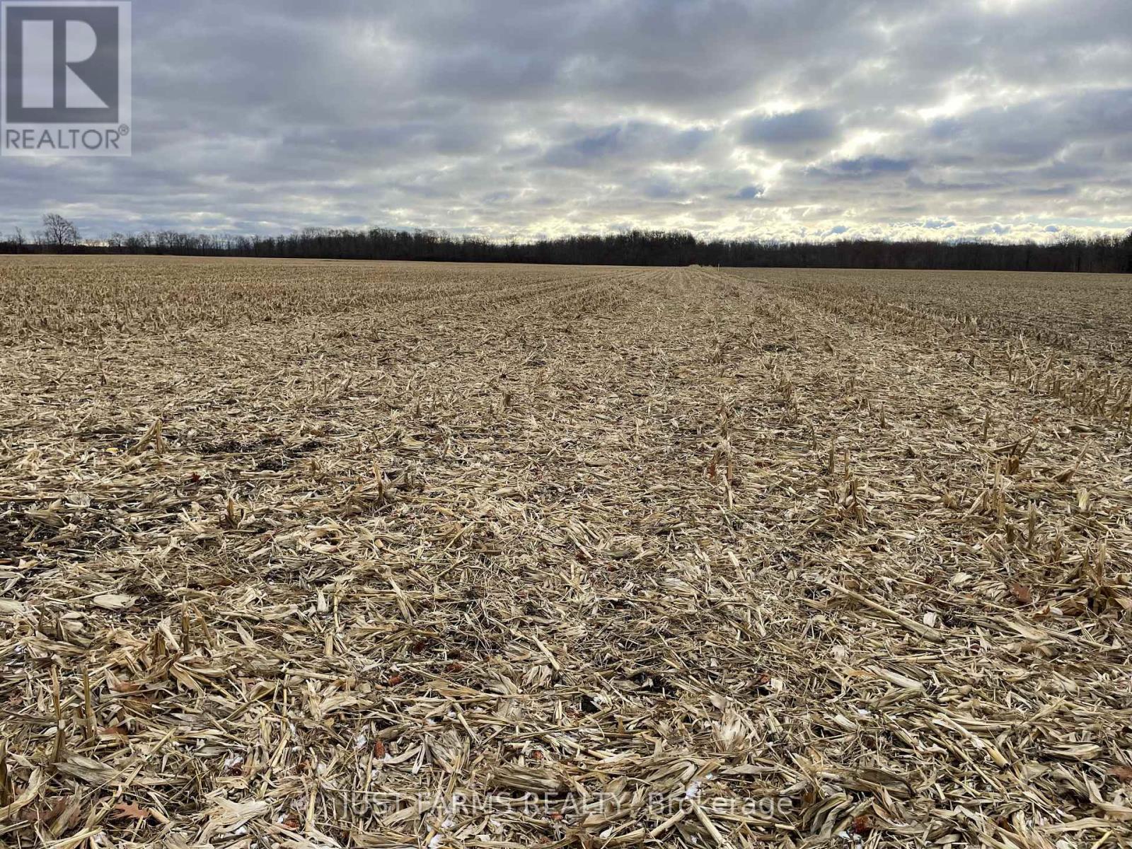 23849 Gibb Line, West Elgin, Ontario N0L 2N0 - Photo 3 - X12503958