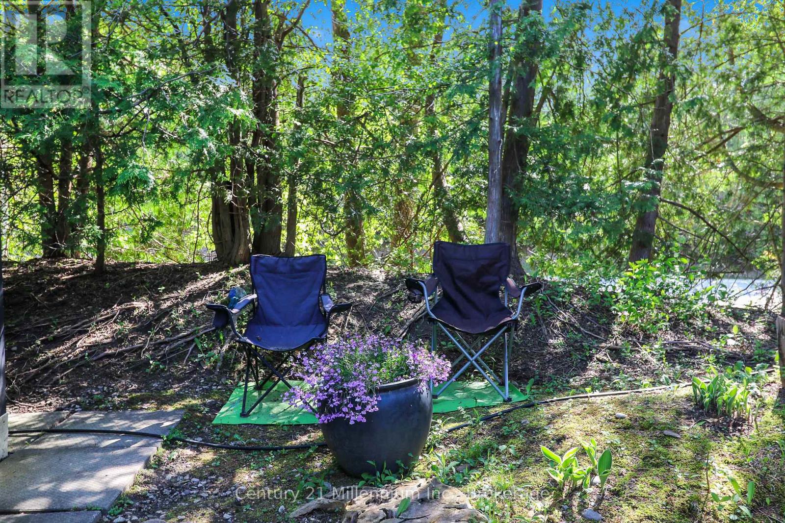 256 - 13 Harbour Street W, Collingwood, Ontario L9Y 5B4 - Photo 29 - S12584390