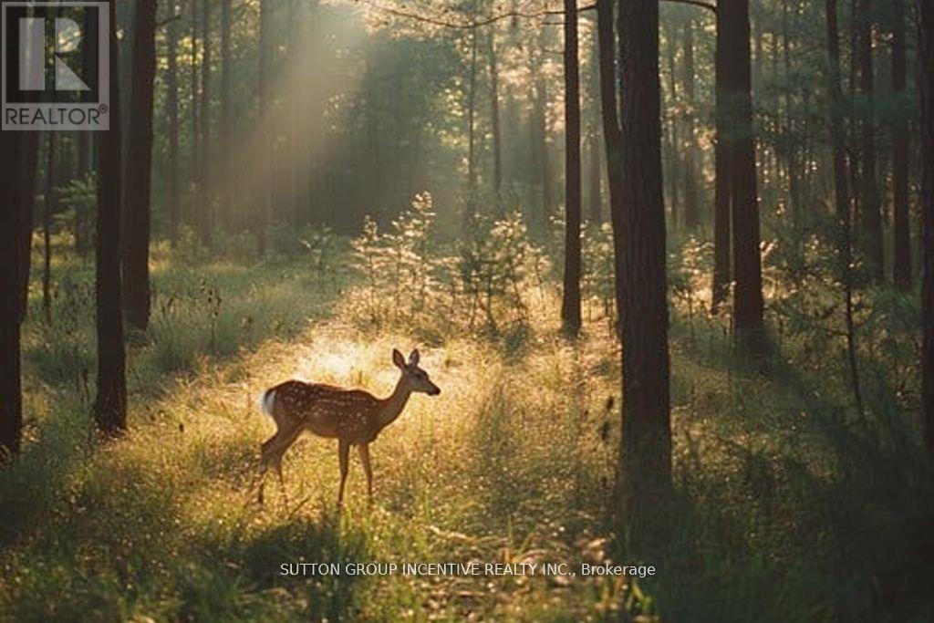 13895 County Rd 27 Road, Springwater, Ontario  L0L 2K0 - Photo 3 - S12584458