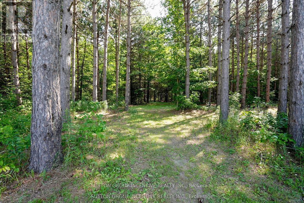 13895 County Rd 27 Road, Springwater, Ontario  L0L 2K0 - Photo 7 - S12584458