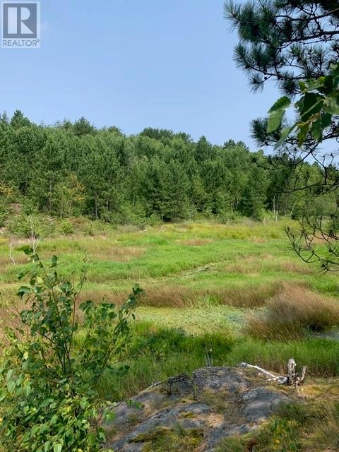 273 Dryden, Sudbury, Ontario  P0M 3C0 - Photo 11 - 2125801