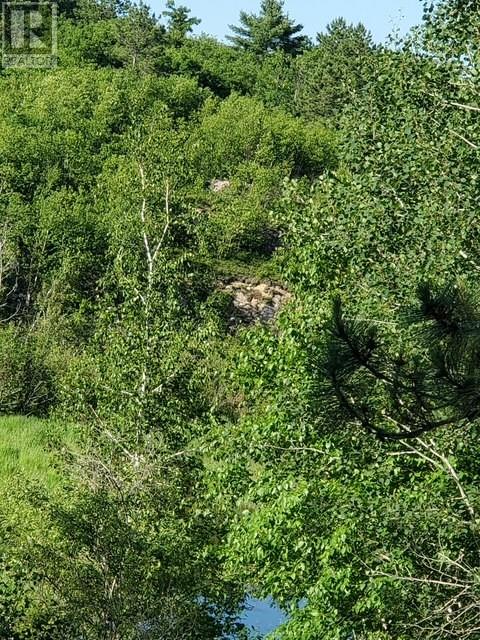 273 Dryden, Sudbury, Ontario  P0M 3C0 - Photo 27 - 2125801