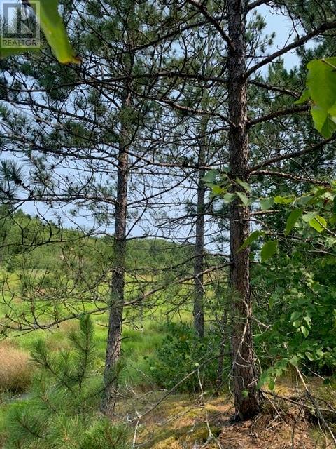 273 Dryden, Sudbury, Ontario  P0M 3C0 - Photo 33 - 2125801