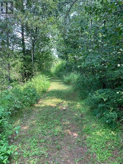 273 Dryden, Sudbury, Ontario  P0M 3C0 - Photo 6 - 2125801