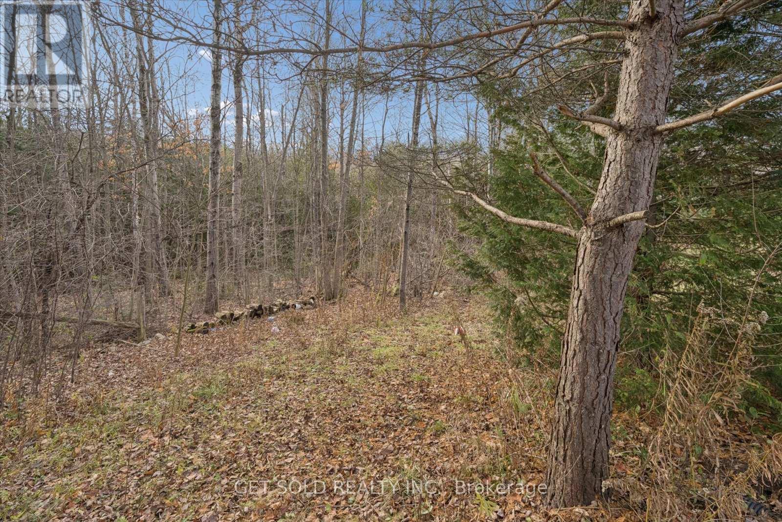 5 Hawkwing Court, Whitchurch-Stouffville, Ontario  L3Y 4W1 - Photo 46 - N12584592