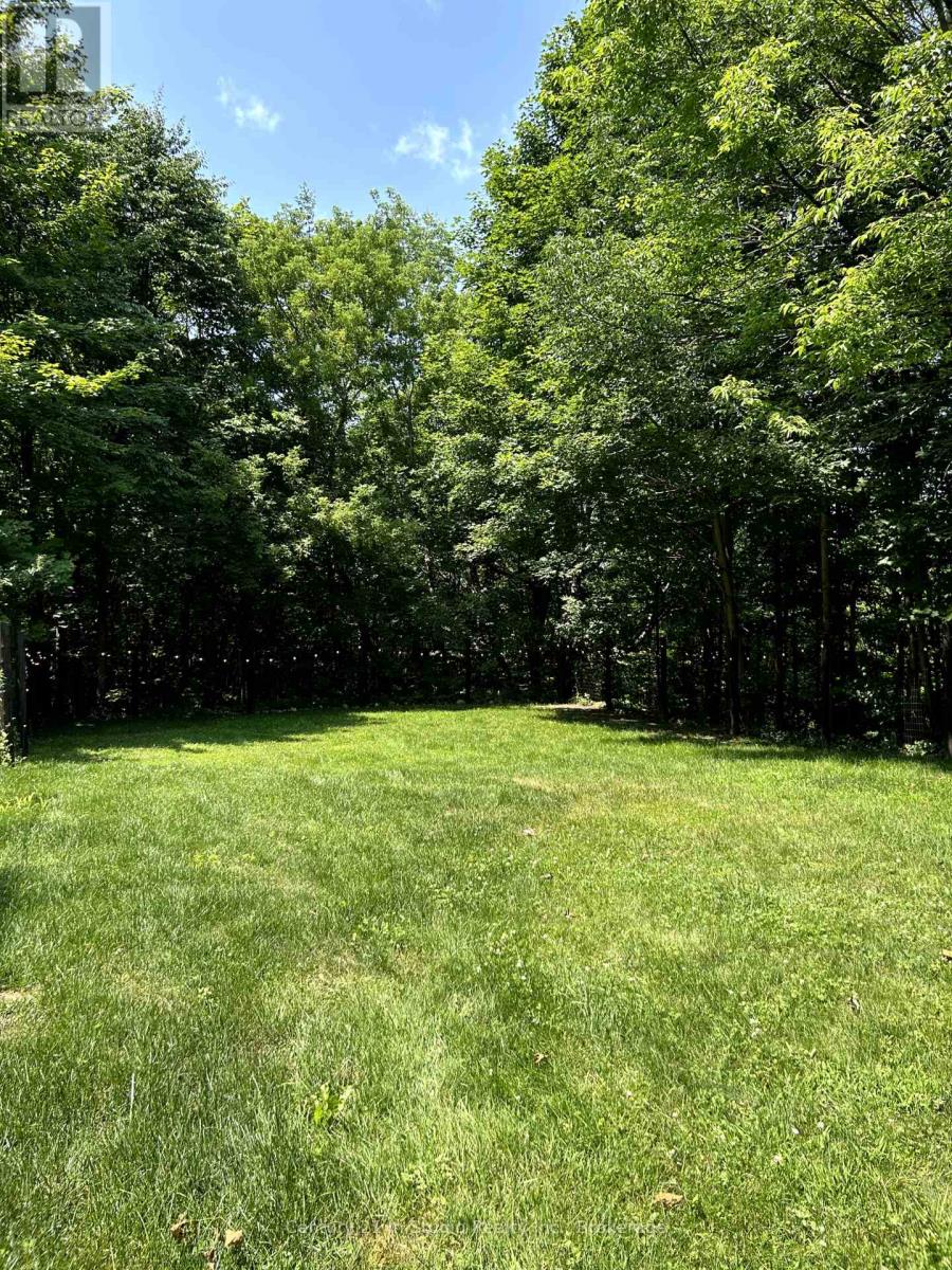 302051 Concession 2 Sdr, West Grey, Ontario  N4N 3B8 - Photo 32 - X12247755