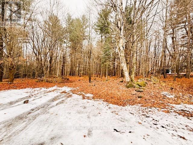 89 Town Line Road W, Huntsville, Ontario P1H 1S6 - Photo 20 - X12584658