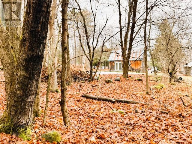 89 Town Line Road W, Huntsville, Ontario P1H 1S6 - Photo 22 - X12584658