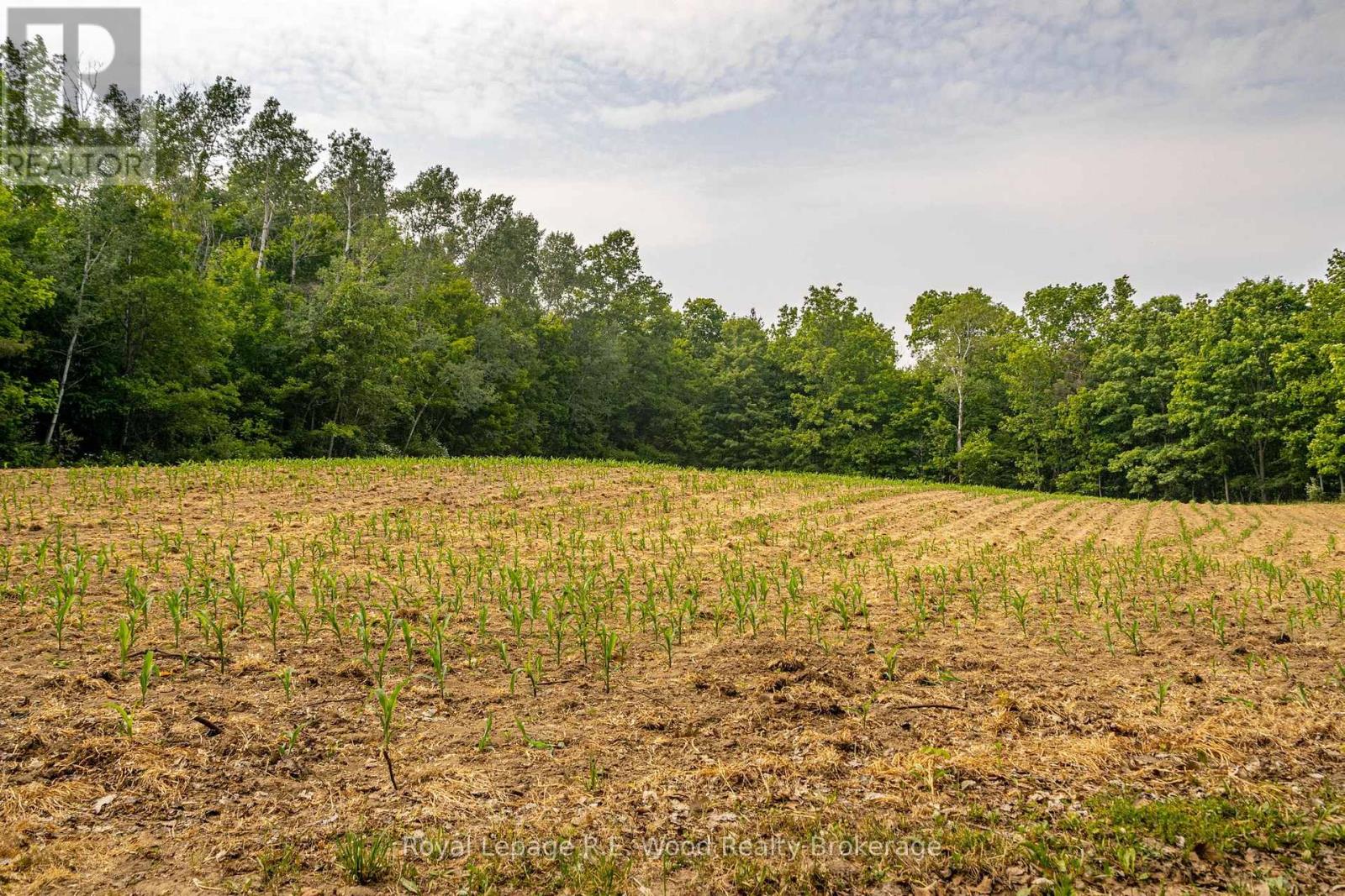 55833 Eden Line, Bayham, Ontario  N0J 1H0 - Photo 1 - X12584784