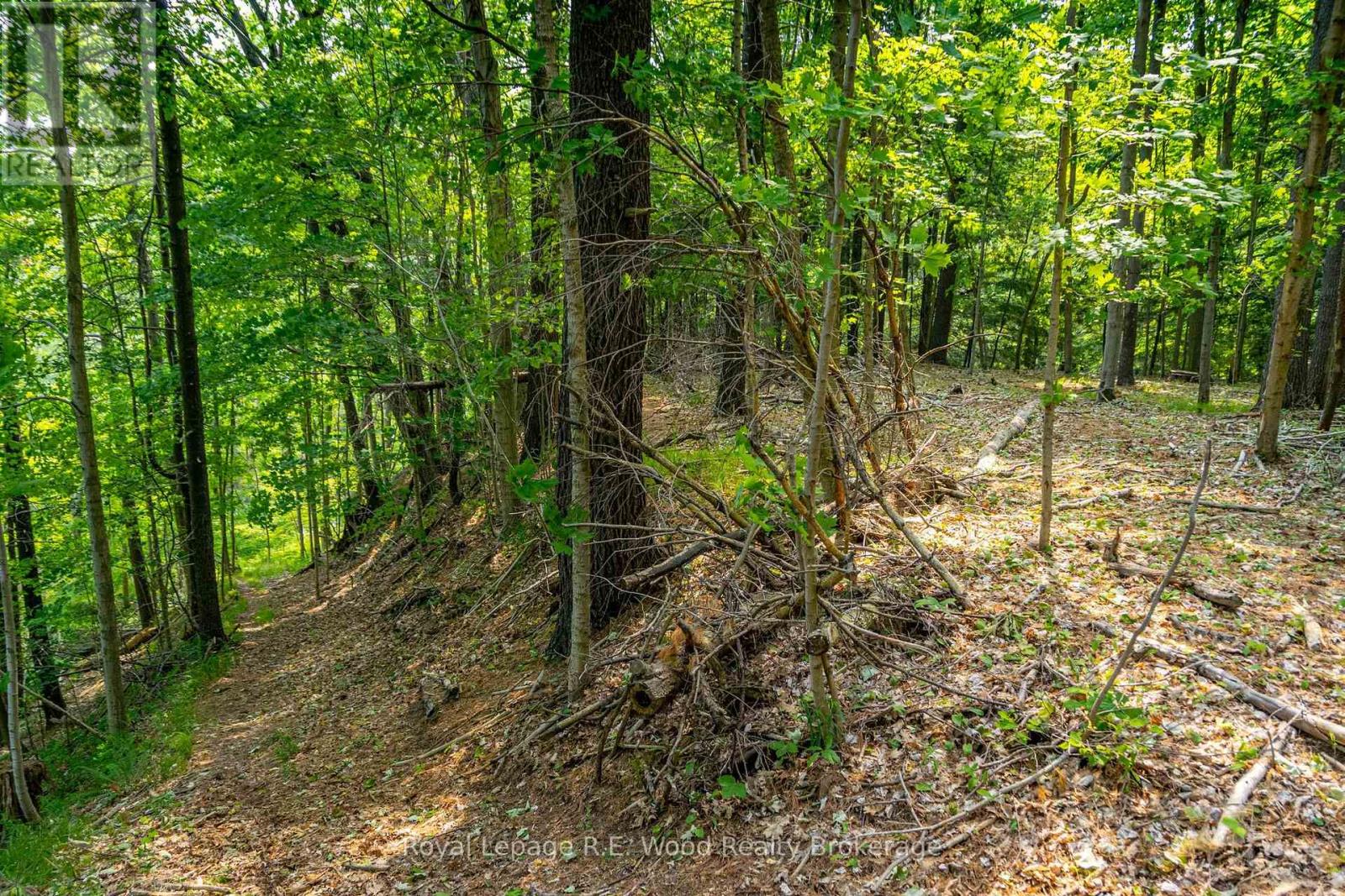 55833 Eden Line, Bayham, Ontario  N0J 1H0 - Photo 18 - X12584784