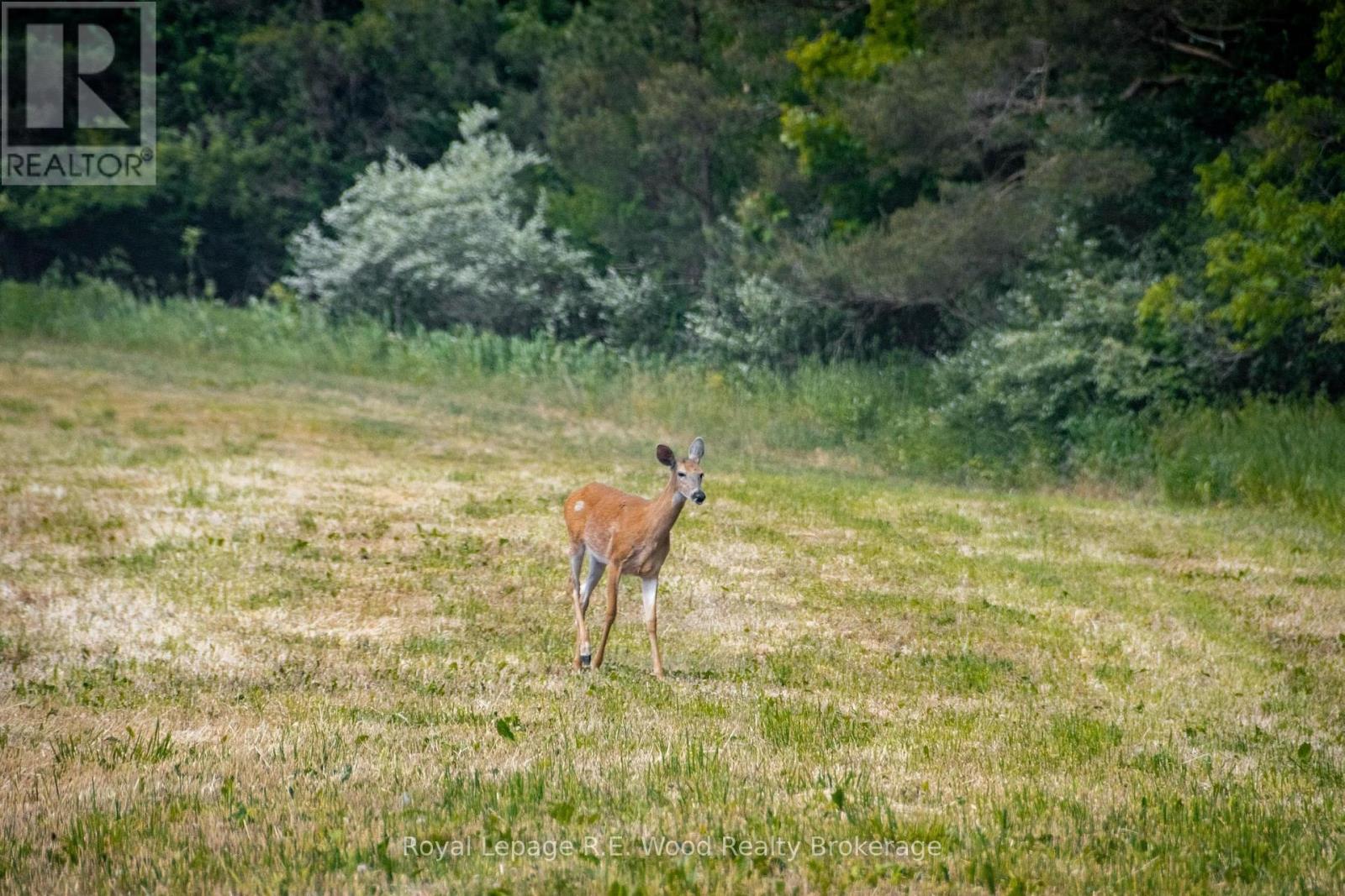 55833 Eden Line, Bayham, Ontario  N0J 1H0 - Photo 20 - X12584784