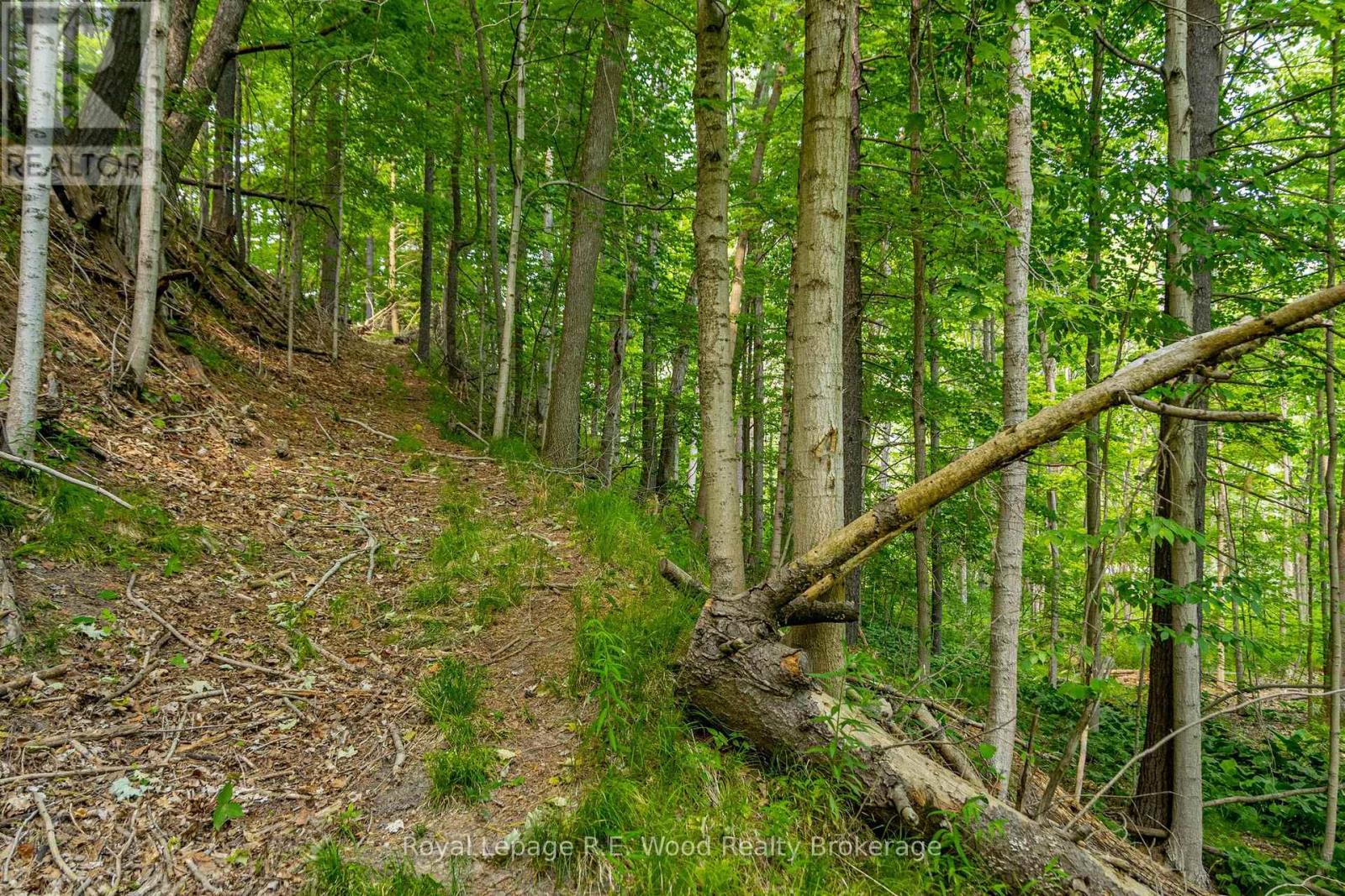 55833 Eden Line, Bayham, Ontario  N0J 1H0 - Photo 5 - X12584784