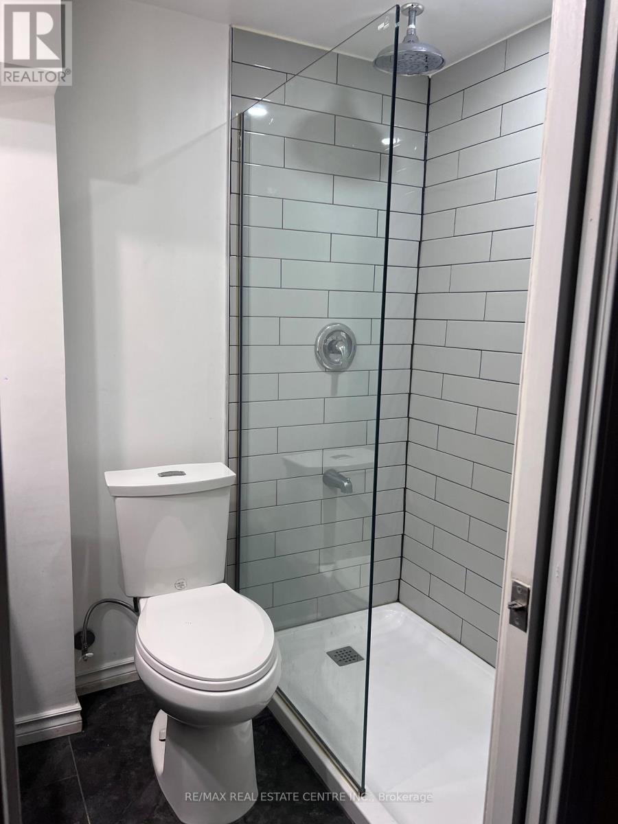 4358 Bacchus Crescent, Mississauga, Ontario  L4W 2Y3 - Photo 22 - W12424840