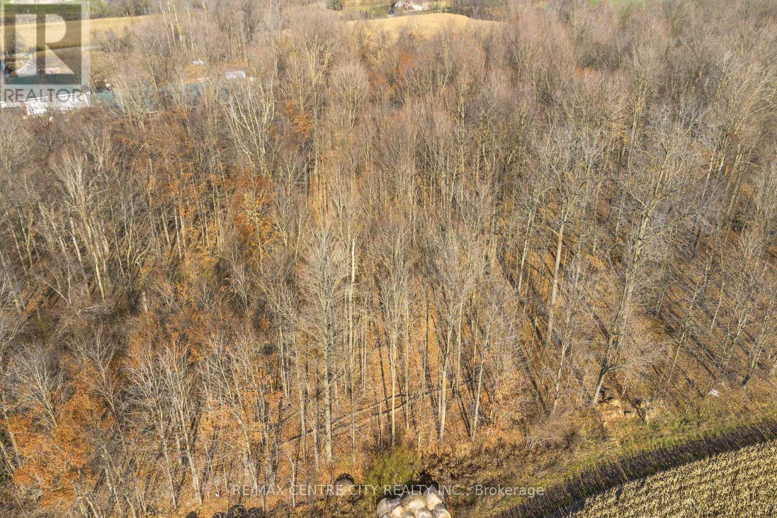 1177 Beitz Road, Woolwich, Ontario  N0B 1M0 - Photo 14 - X12584918