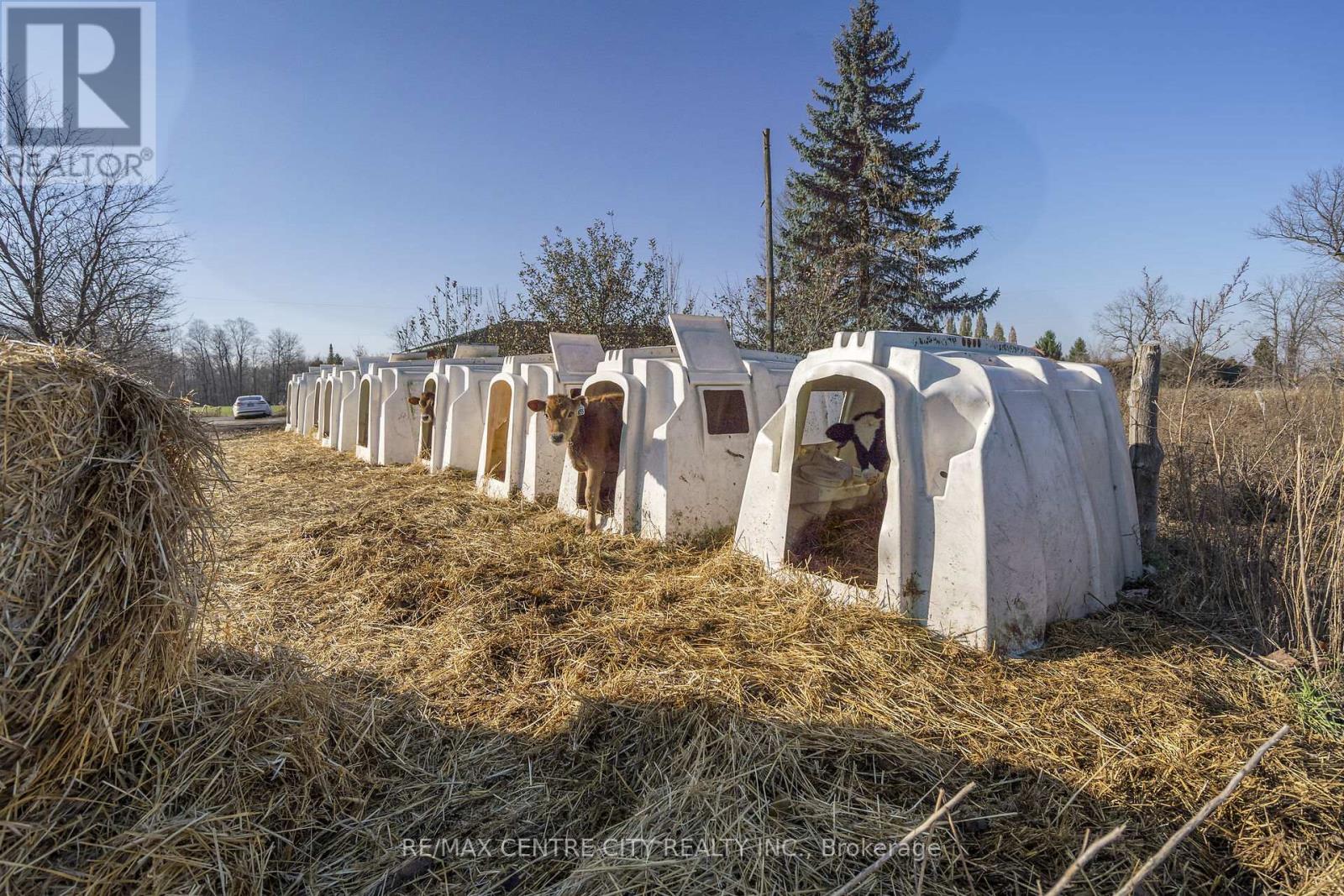 1177 Beitz Road, Woolwich, Ontario  N0B 1M0 - Photo 20 - X12584918