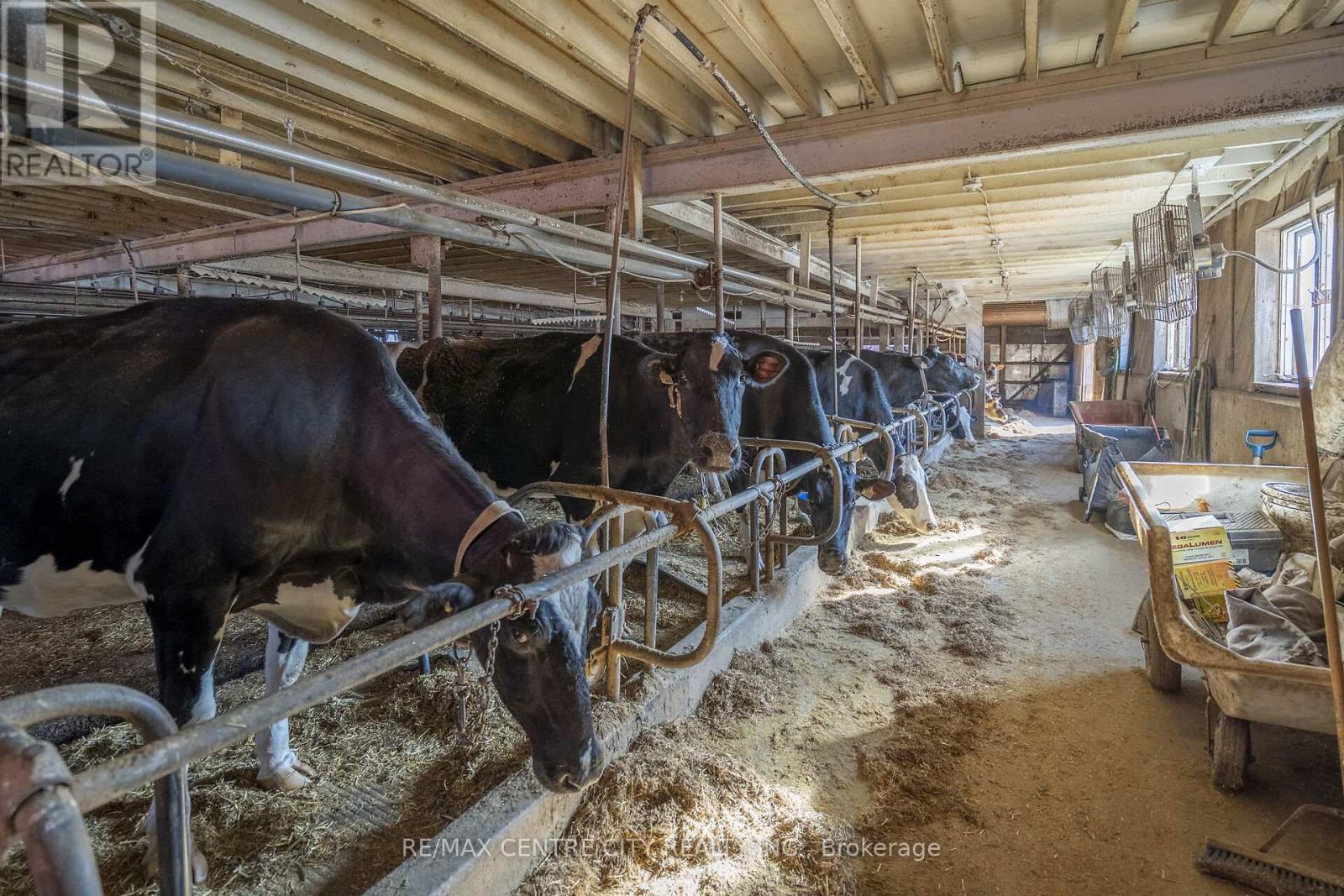 1177 Beitz Road, Woolwich, Ontario  N0B 1M0 - Photo 23 - X12584918