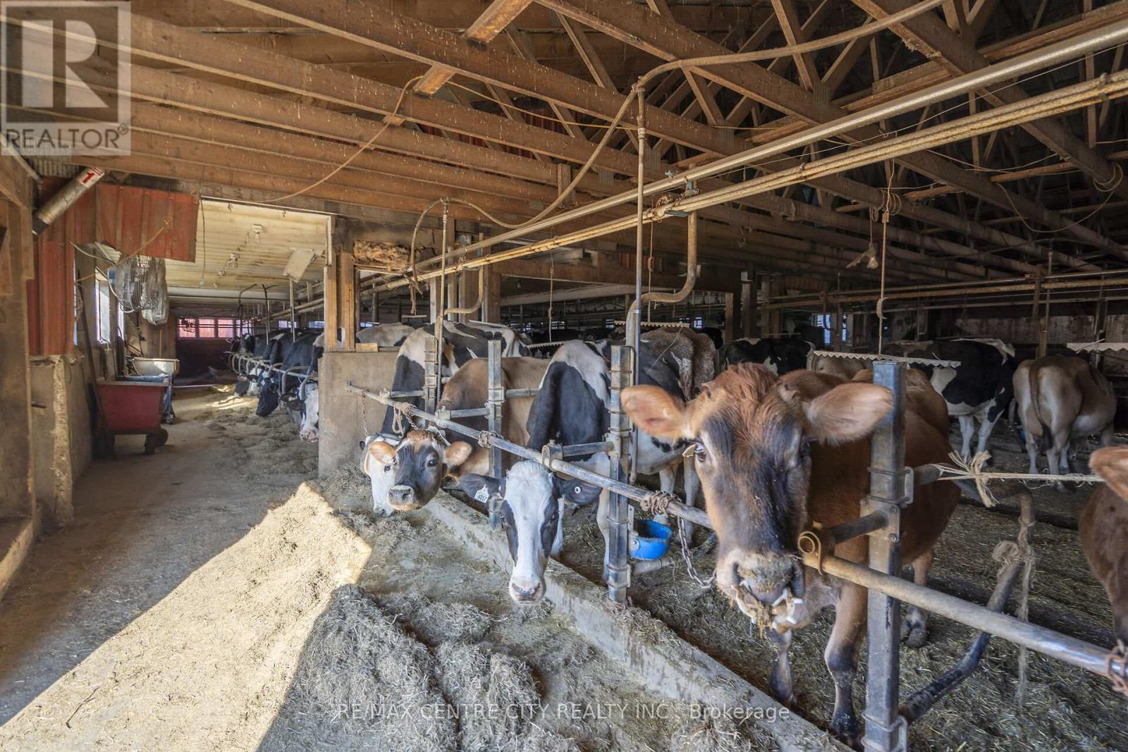 1177 Beitz Road, Woolwich, Ontario  N0B 1M0 - Photo 24 - X12584918