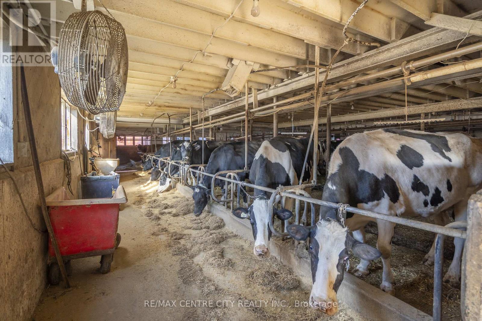 1177 Beitz Road, Woolwich, Ontario  N0B 1M0 - Photo 25 - X12584918