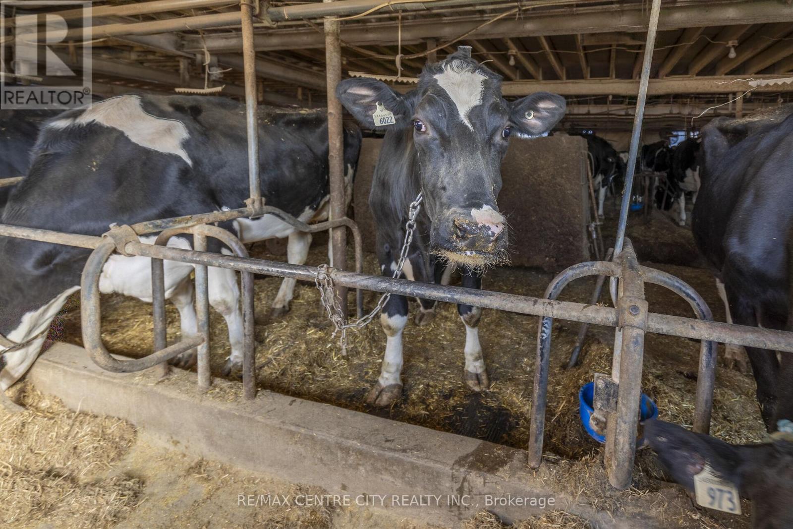 1177 Beitz Road, Woolwich, Ontario  N0B 1M0 - Photo 26 - X12584918