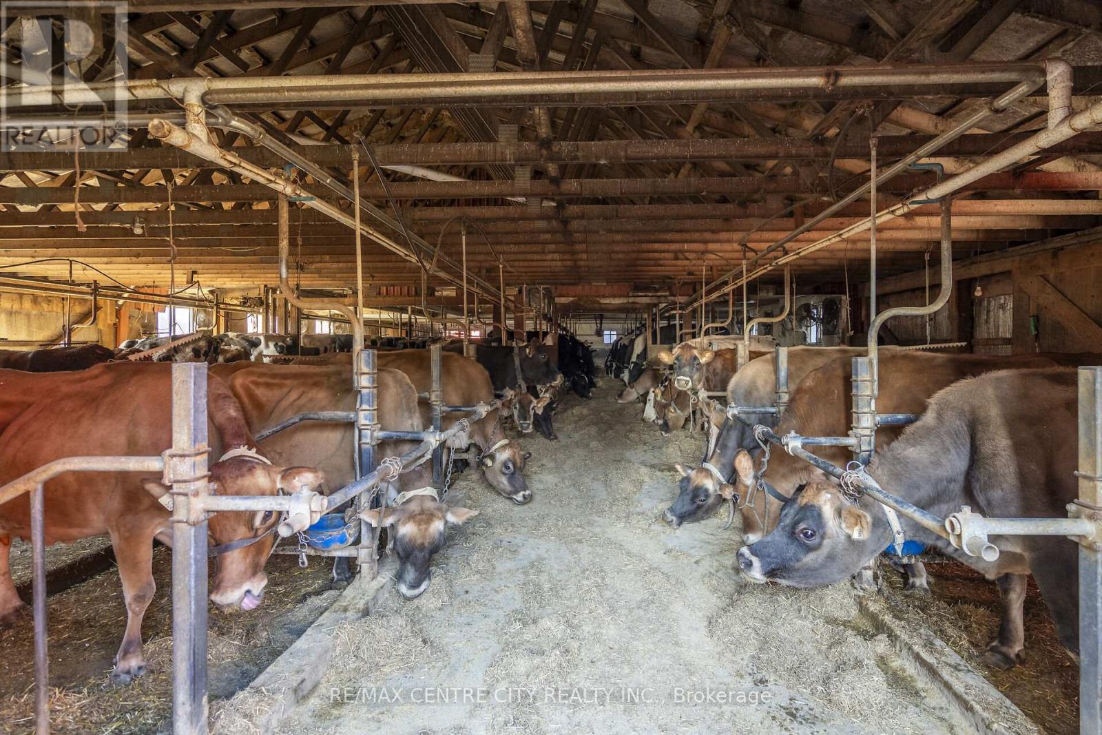 1177 Beitz Road, Woolwich, Ontario  N0B 1M0 - Photo 27 - X12584918