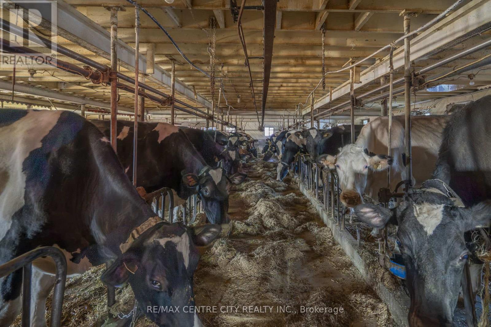 1177 Beitz Road, Woolwich, Ontario  N0B 1M0 - Photo 28 - X12584918