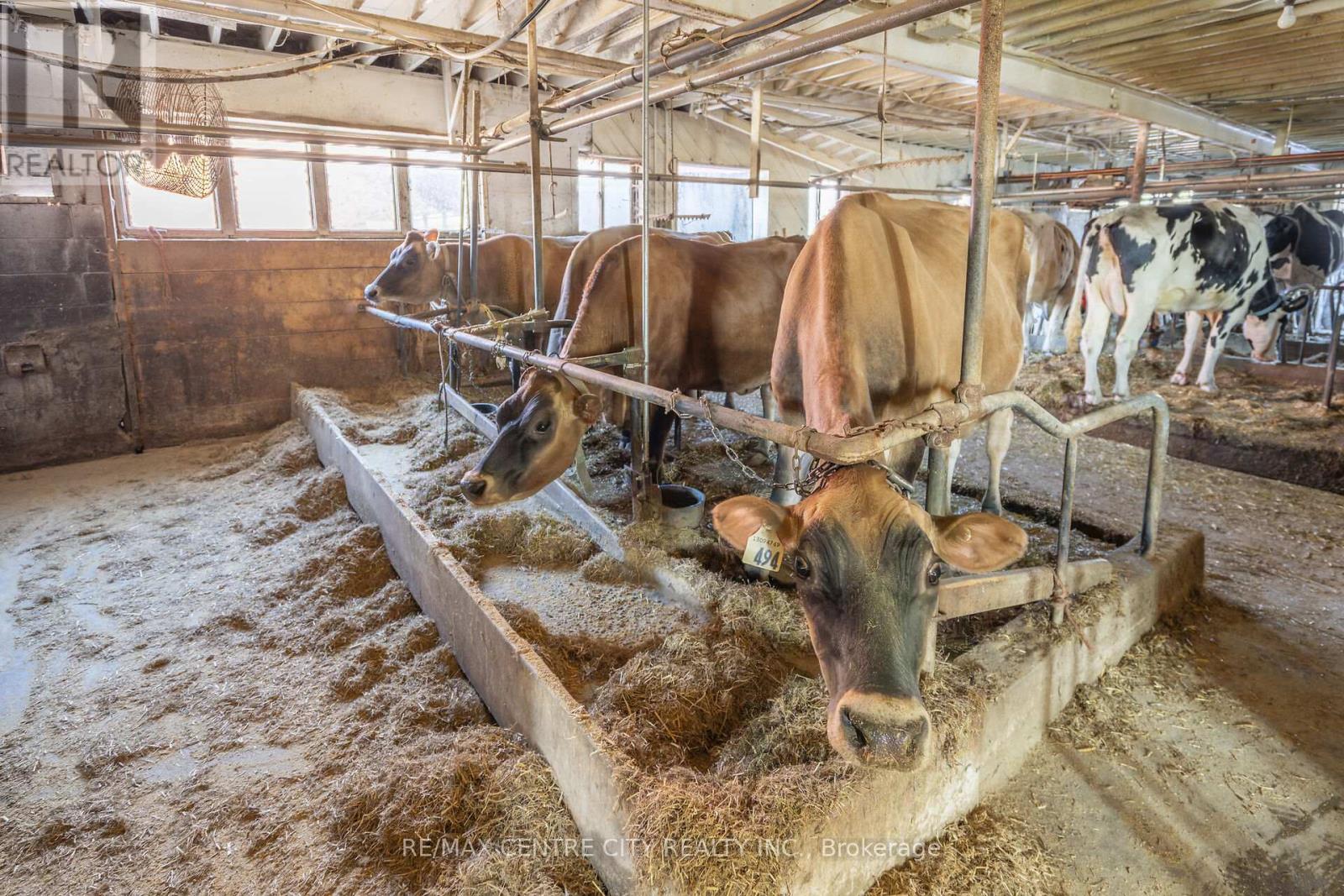 1177 Beitz Road, Woolwich, Ontario  N0B 1M0 - Photo 29 - X12584918