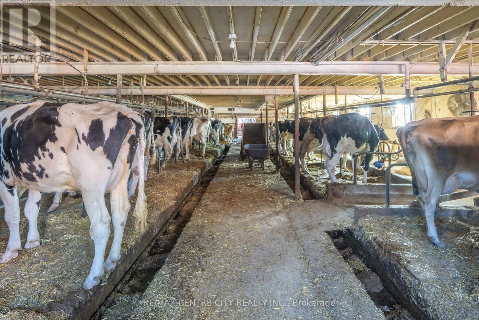 1177 Beitz Road, Woolwich, Ontario  N0B 1M0 - Photo 30 - X12584918