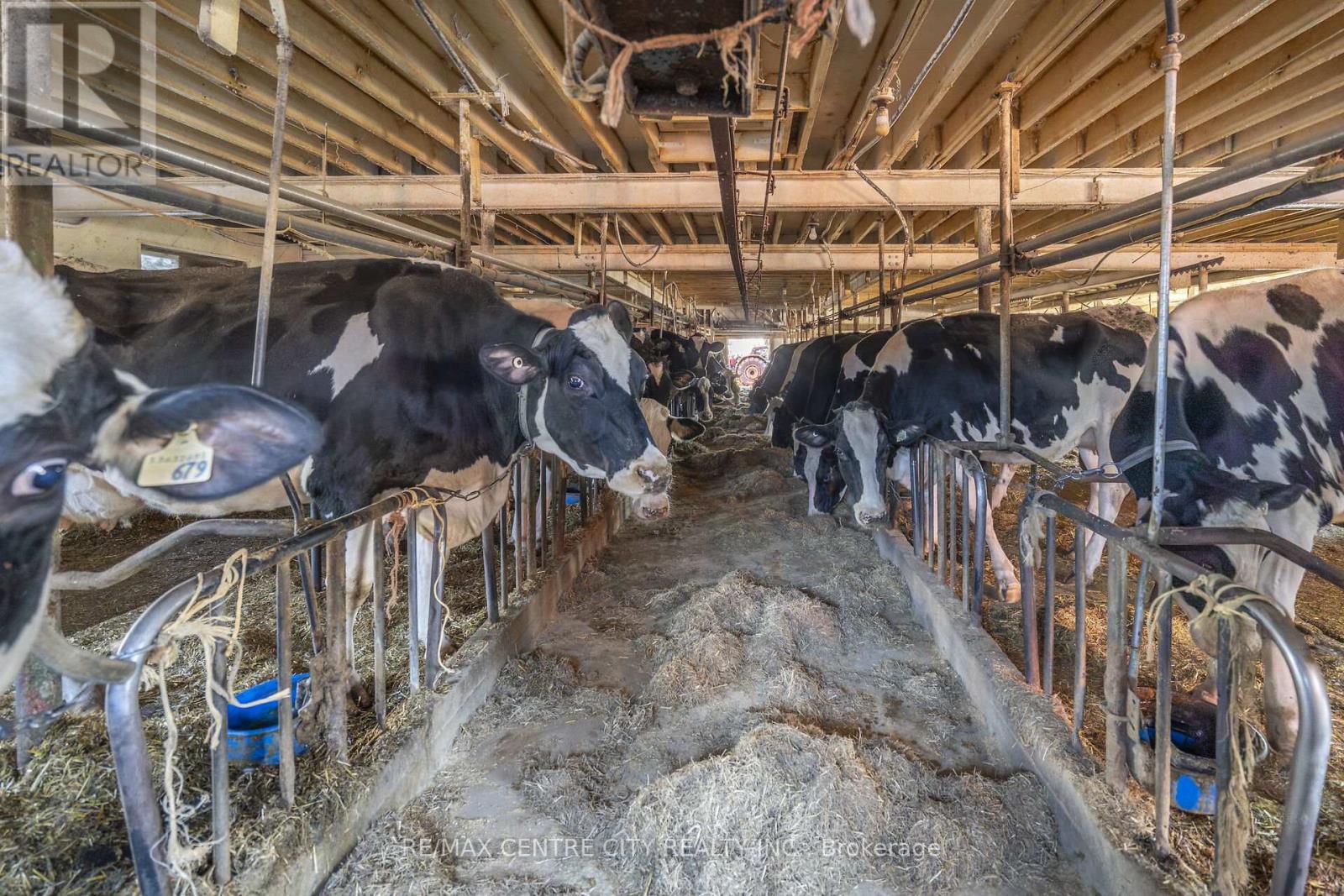 1177 Beitz Road, Woolwich, Ontario  N0B 1M0 - Photo 31 - X12584918