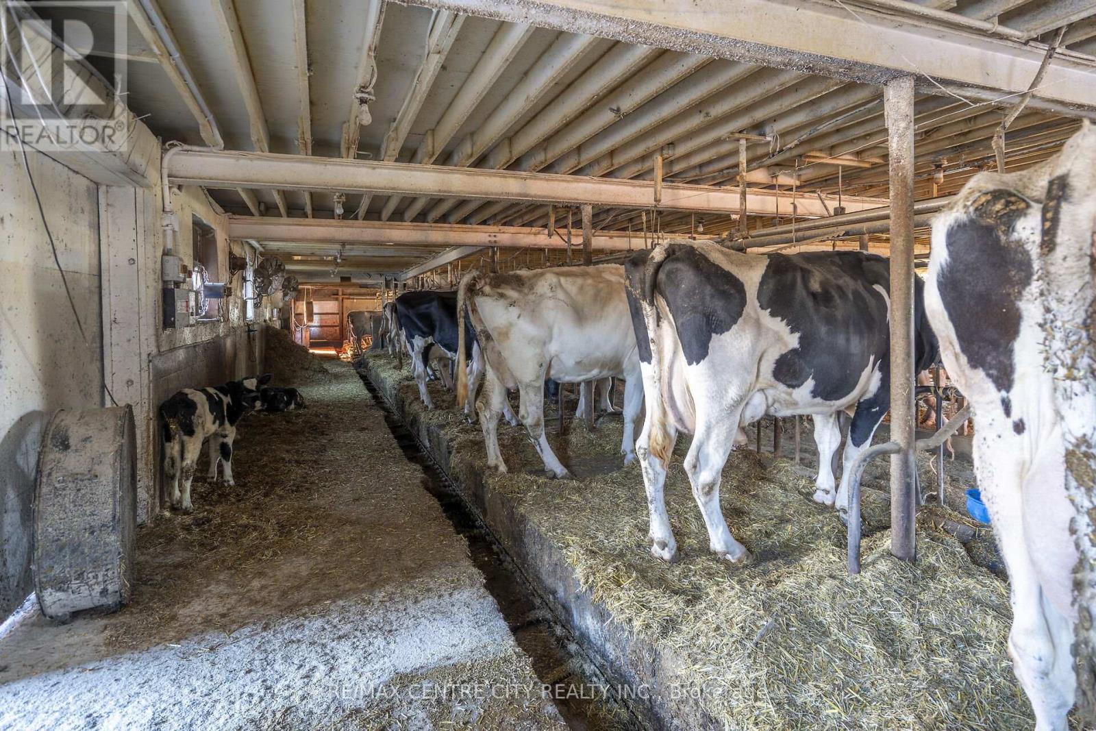 1177 Beitz Road, Woolwich, Ontario  N0B 1M0 - Photo 32 - X12584918