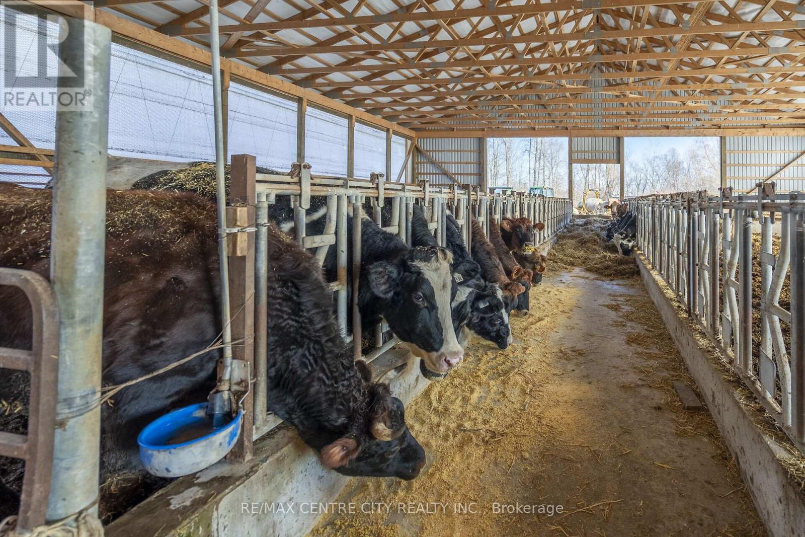 1177 Beitz Road, Woolwich, Ontario  N0B 1M0 - Photo 37 - X12584918