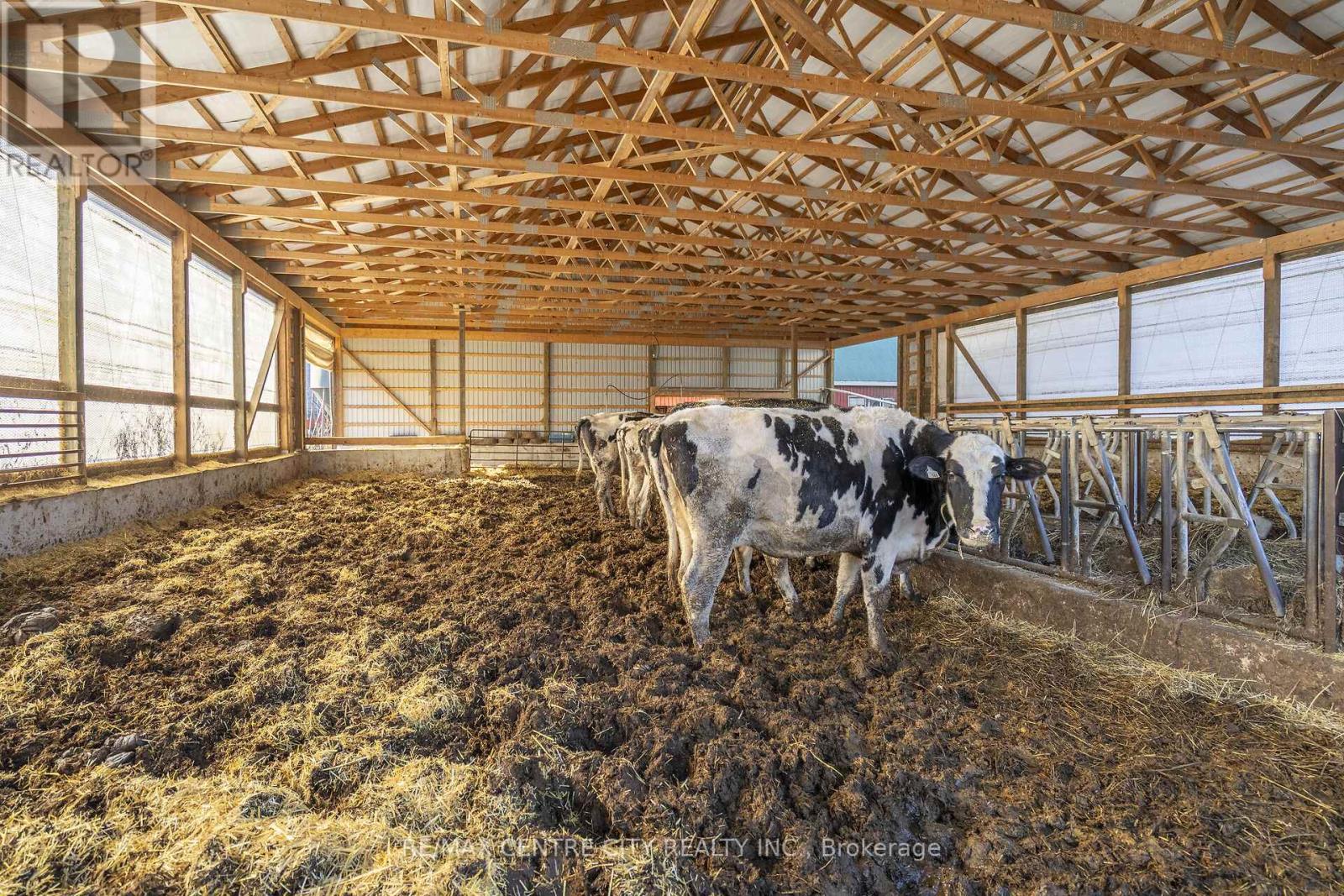 1177 Beitz Road, Woolwich, Ontario  N0B 1M0 - Photo 38 - X12584918