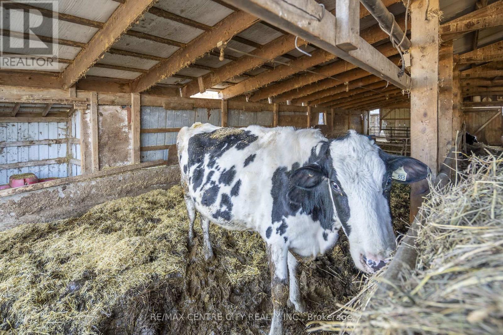 1177 Beitz Road, Woolwich, Ontario  N0B 1M0 - Photo 44 - X12584918