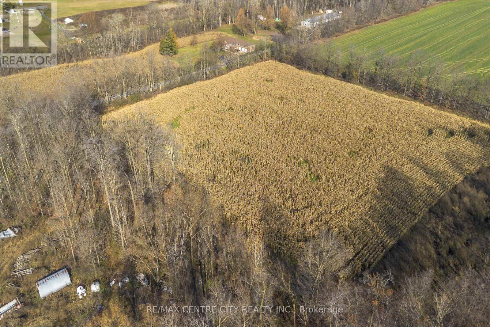 1177 Beitz Road, Woolwich, Ontario  N0B 1M0 - Photo 9 - X12584918