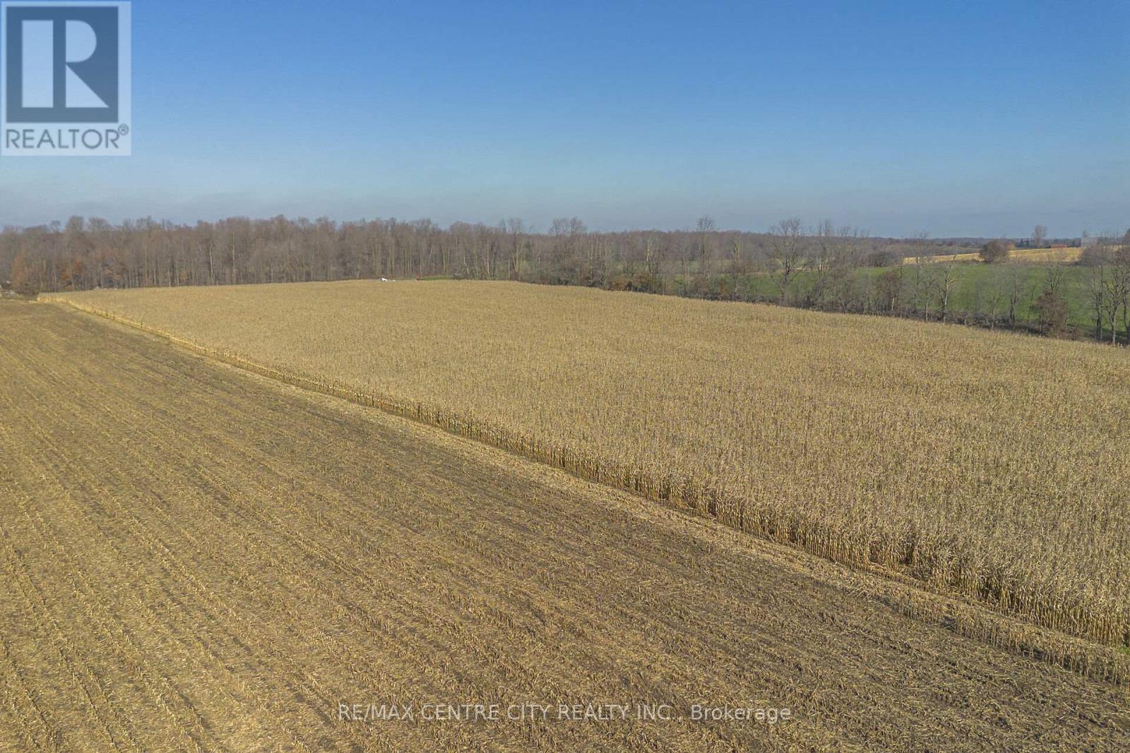 1177 Beitz Road, Woolwich, Ontario  N0B 1M0 - Photo 11 - X12584920