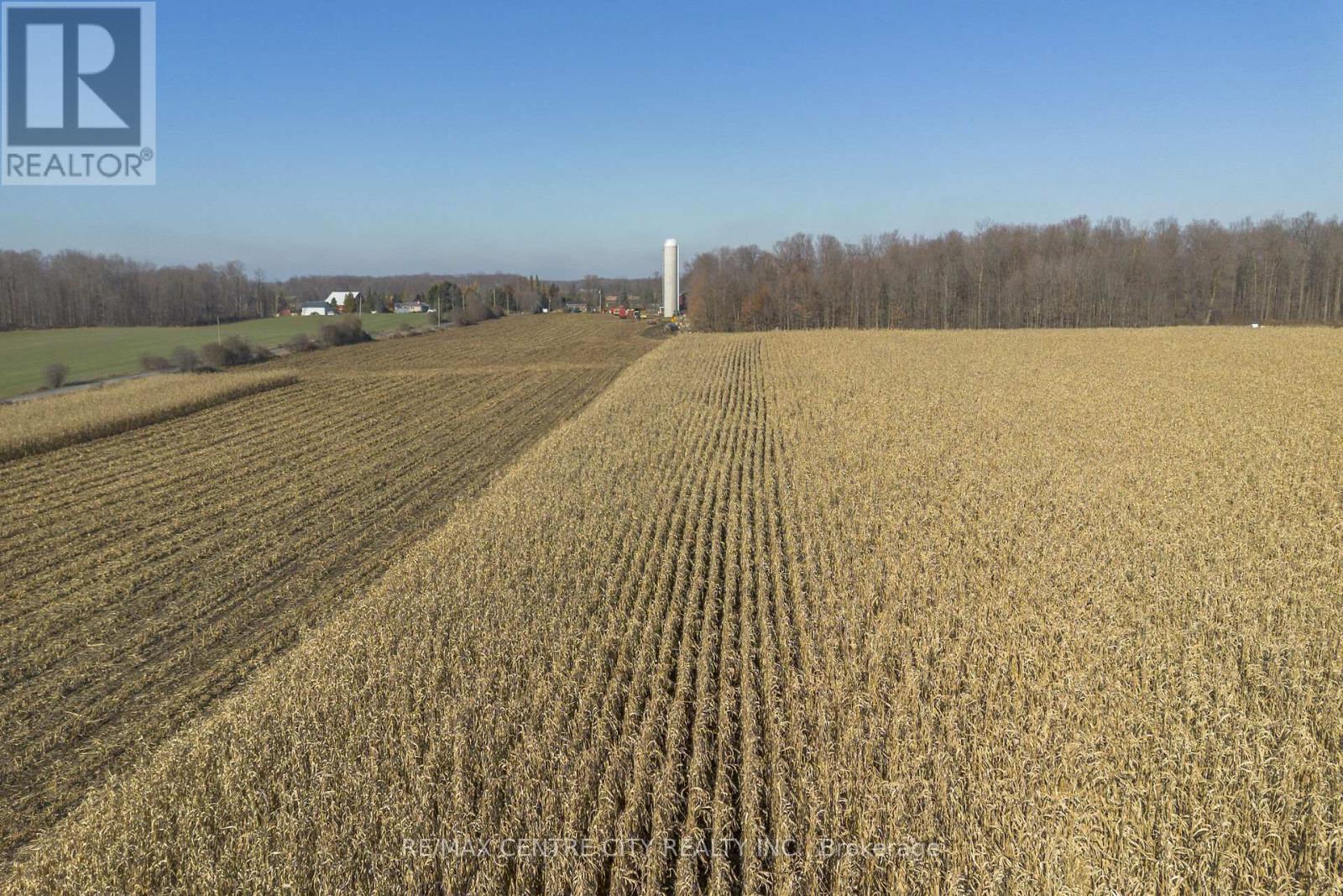 1177 Beitz Road, Woolwich, Ontario  N0B 1M0 - Photo 13 - X12584920