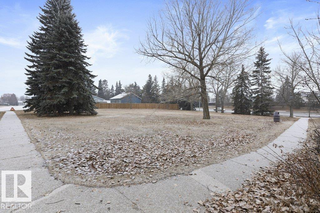 23 Lorraine Cr, St. Albert, Alberta  T8N 2R4 - Photo 44 - E4466949