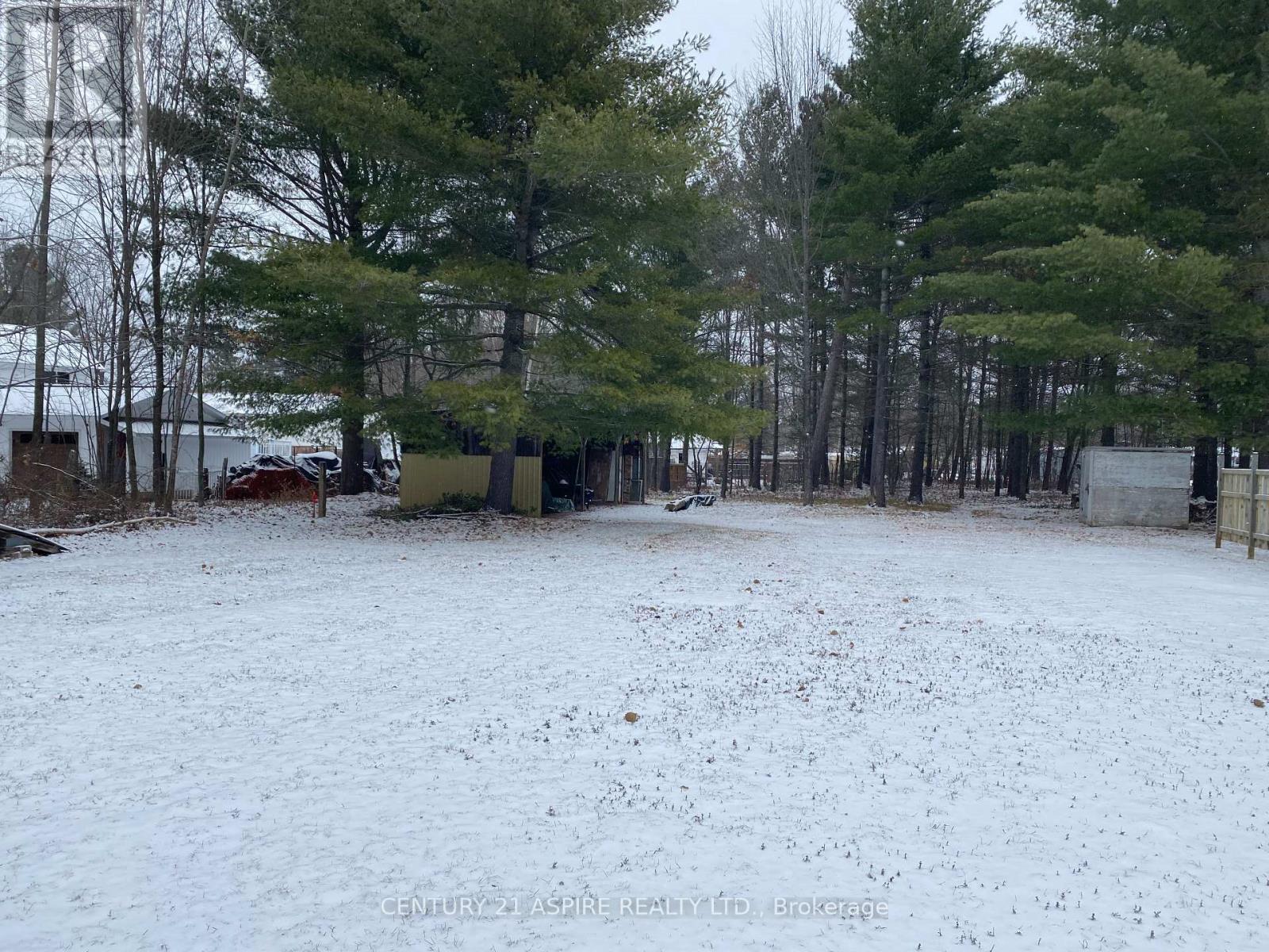 2889 Petawawa Boulevard, Petawawa, Ontario  K8H 1Y1 - Photo 5 - X12584882