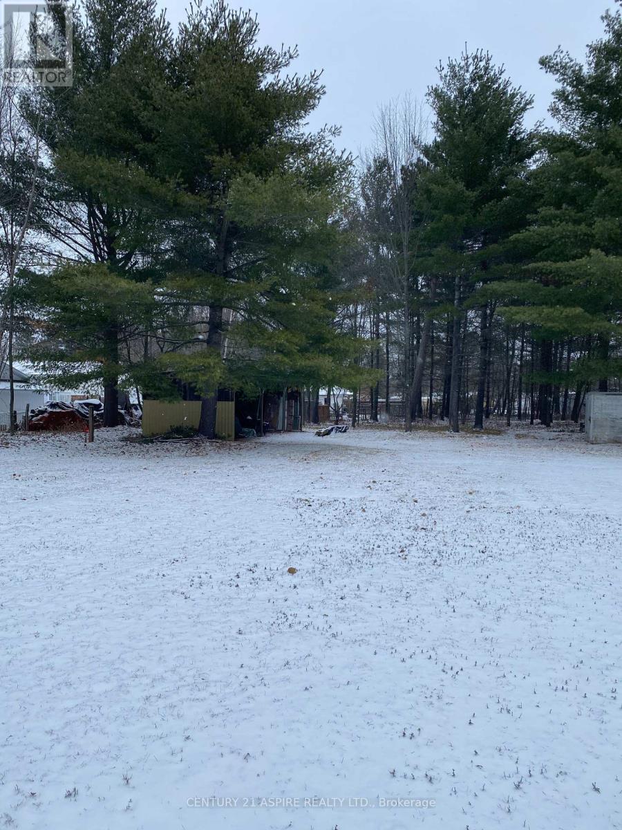 2889 Petawawa Boulevard, Petawawa, Ontario  K8H 1Y1 - Photo 7 - X12584882