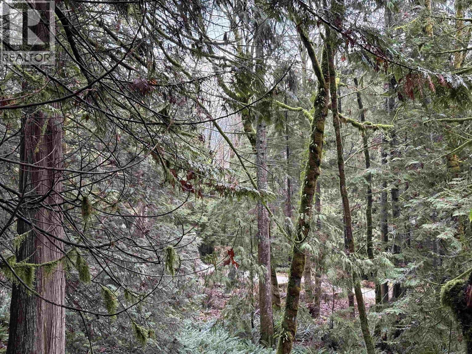 901 West Bay Road, Gambier Island, British Columbia  V0N 1V0 - Photo 3 - R3070835