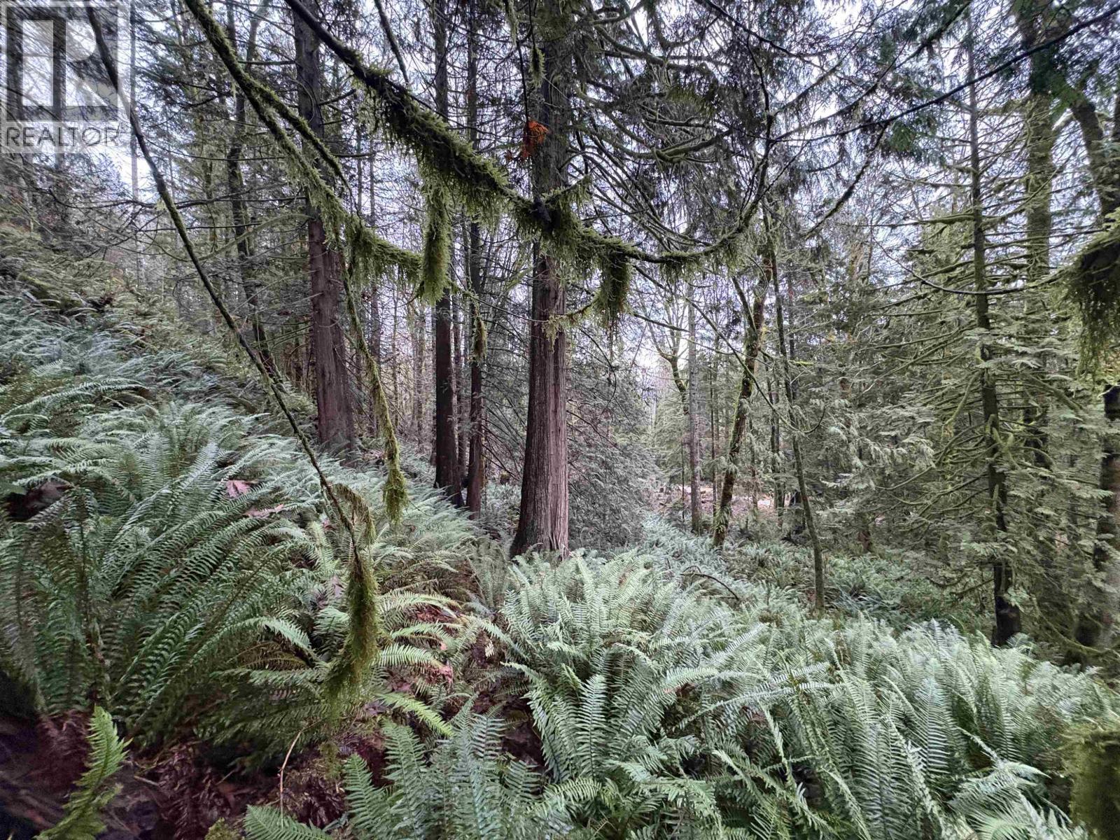 901 West Bay Road, Gambier Island, British Columbia  V0N 1V0 - Photo 4 - R3070835