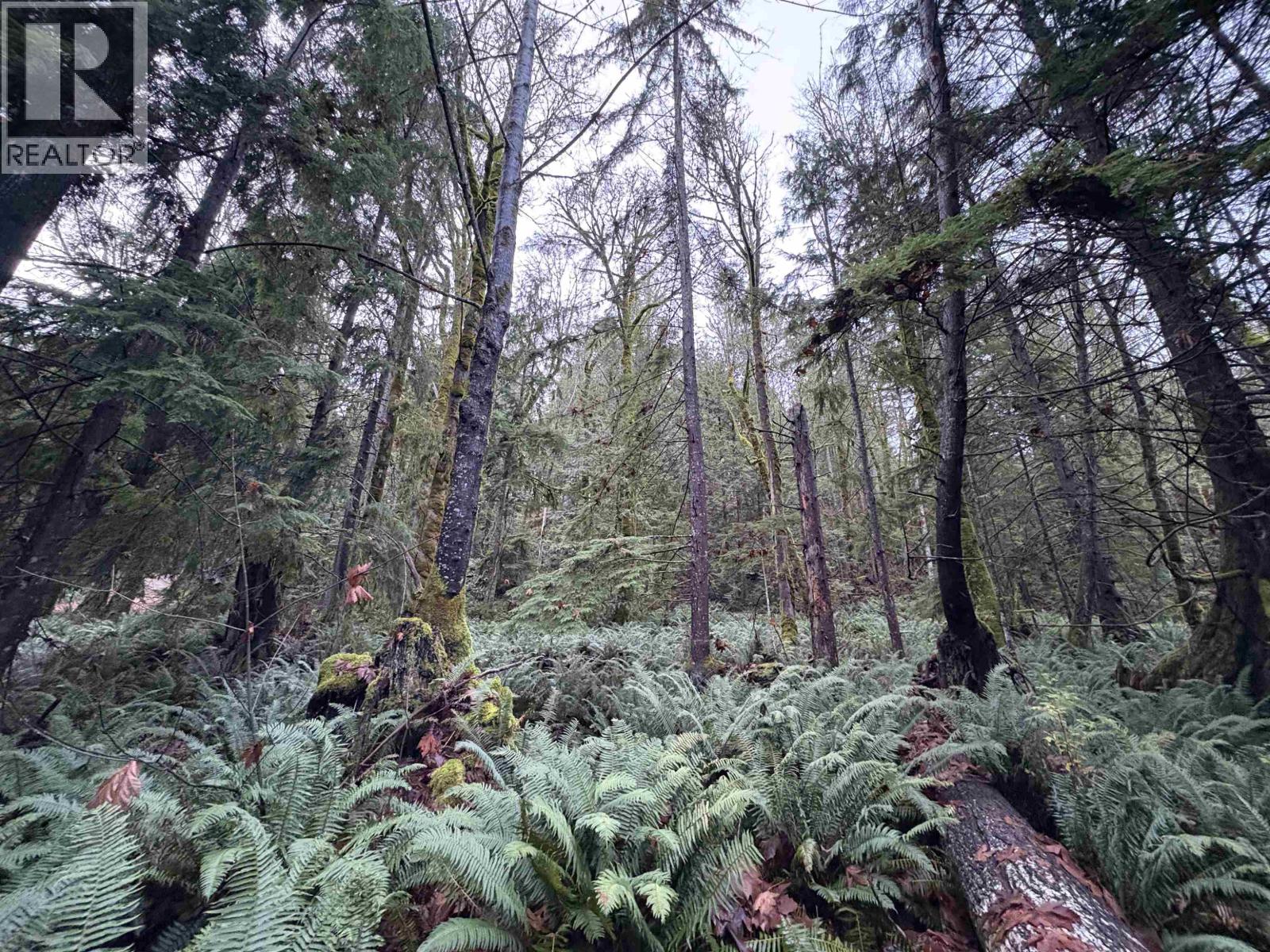 901 West Bay Road, Gambier Island, British Columbia  V0N 1V0 - Photo 5 - R3070835