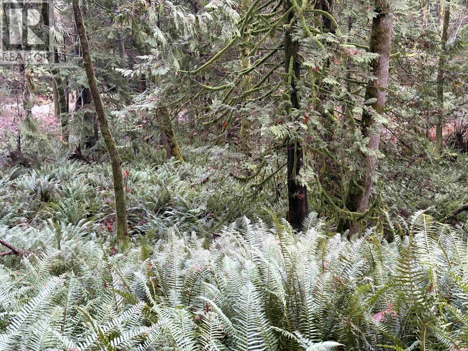 901 West Bay Road, Gambier Island, British Columbia  V0N 1V0 - Photo 6 - R3070835